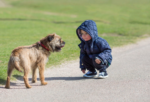 Boy with dog