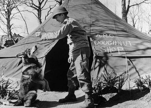 chips - most decorated dog in World War Two