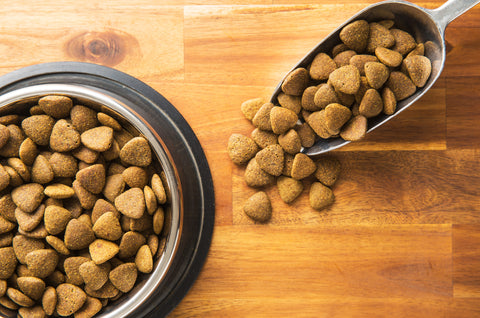 dog food storage