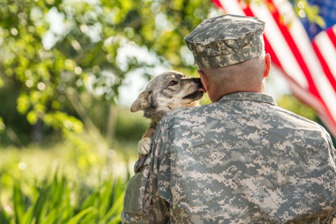 dog giving soldier love