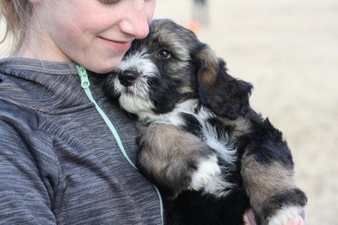 girl holding black and white puppy in her arms