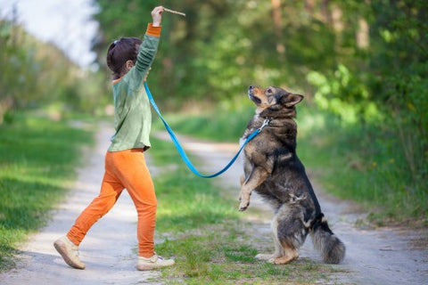 little-girl-teaching-dog-with-treat