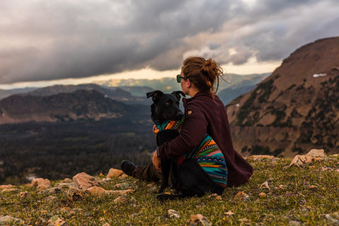 dog and owner hiking