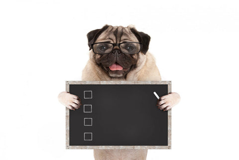 Pug wearing glasses holding chalkboard checklist