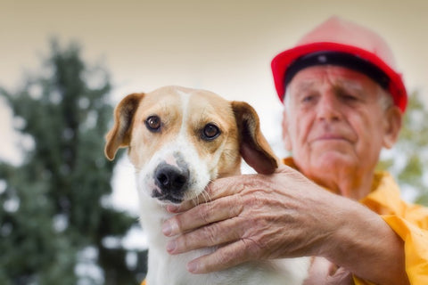 older man rescuing dog