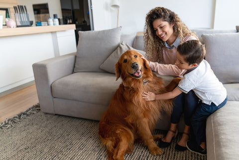 Happy mother and son at home petting their dog