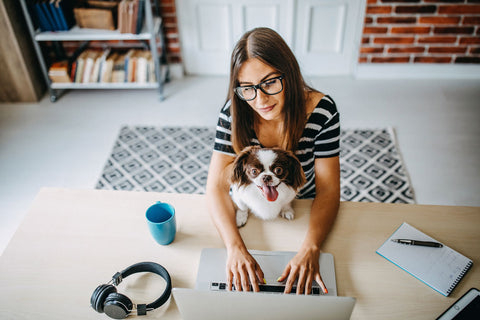 Woman working at her computer with cute papillon on her desk