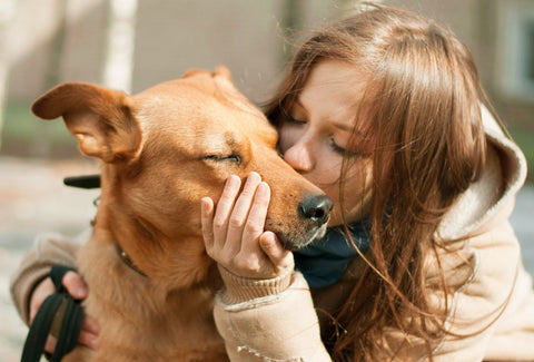 Woman kissing and hugging happy dog