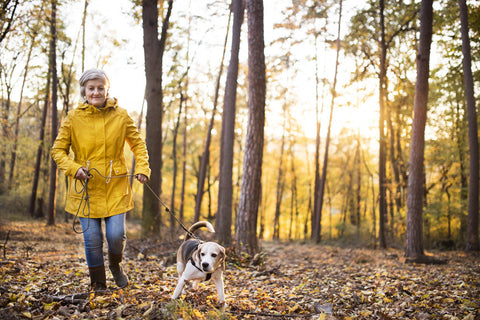 Senior woman with dog on a walk in an autumn forest.