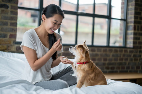 woman training puppy with reward