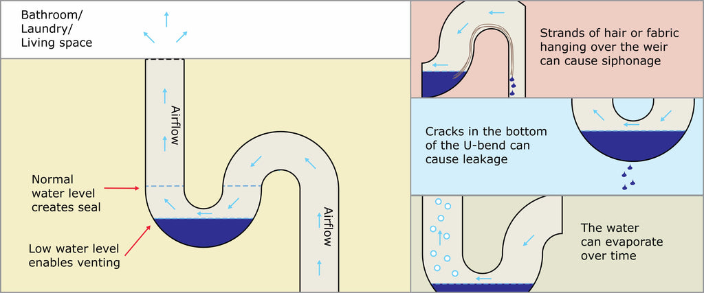 Low water levels can enable the free-flow of gases from the sewer in to your living area. The diagram above gives some examples of how this can occur.