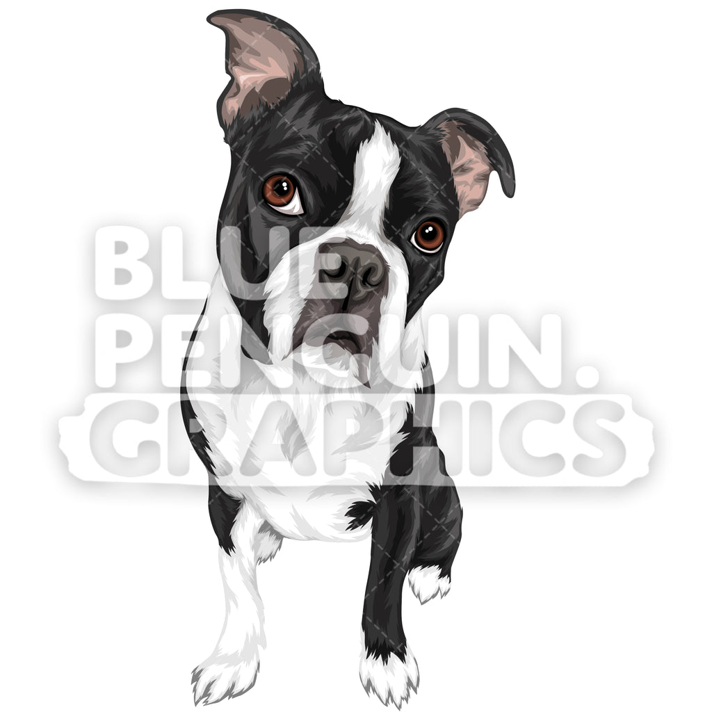 Pet clipart dog clipart clipart boston terrier bulldog Dog breeds Puppies clipart graphics Dog Bundle Dog Illustrations Dog lovers gift