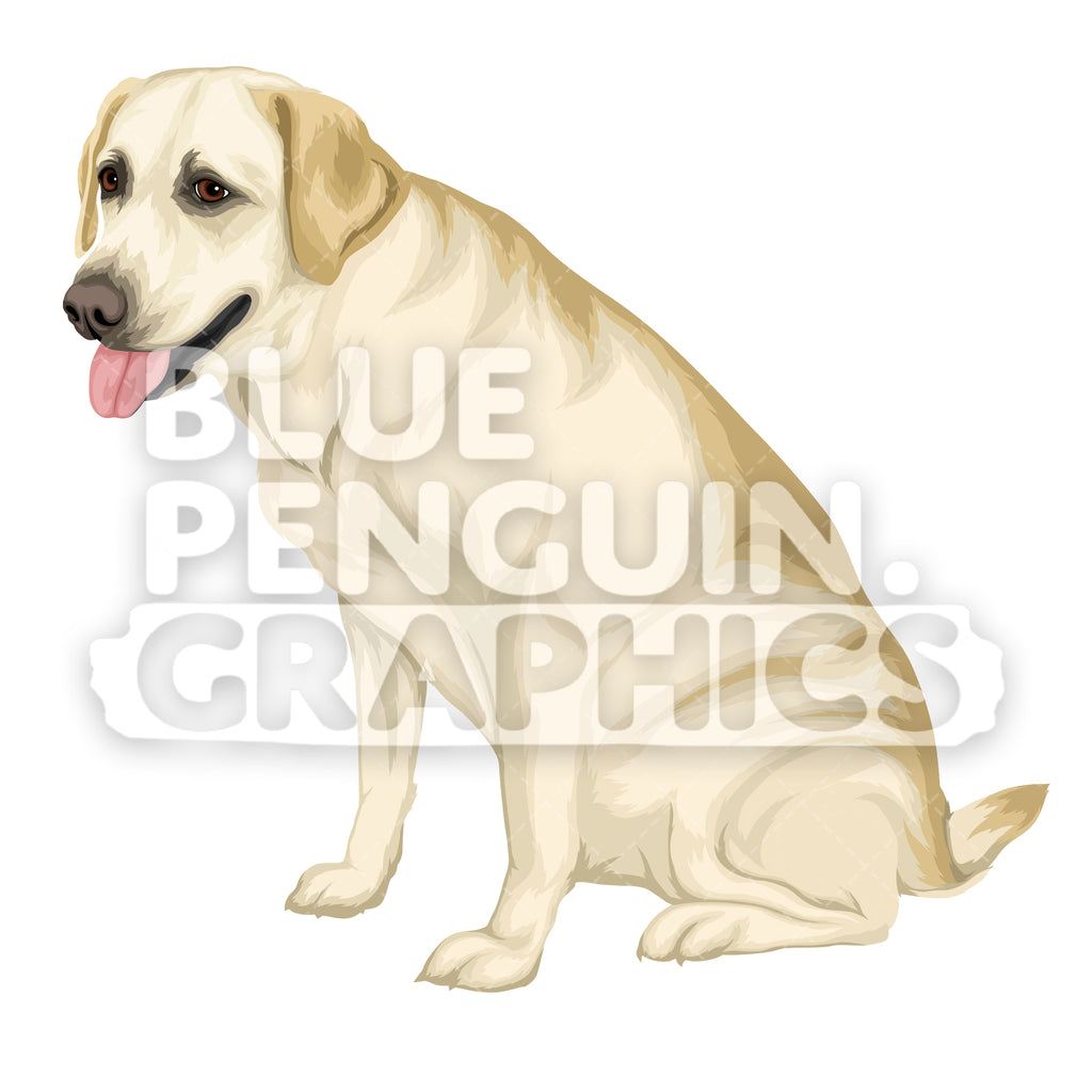 Labrador Dog version 5 Vector Cartoon Clipart Illustration — Penguin