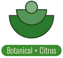 Botanical + Citrus Fragrance Family | P.F. Candle Co. EU