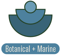 Botanical + Marine Fragrance Family | P.F. Candle Co. EU