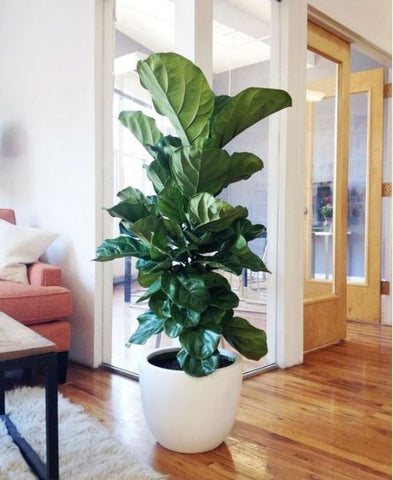 Top Artificial plants must have for 2020 | Artiplanto 