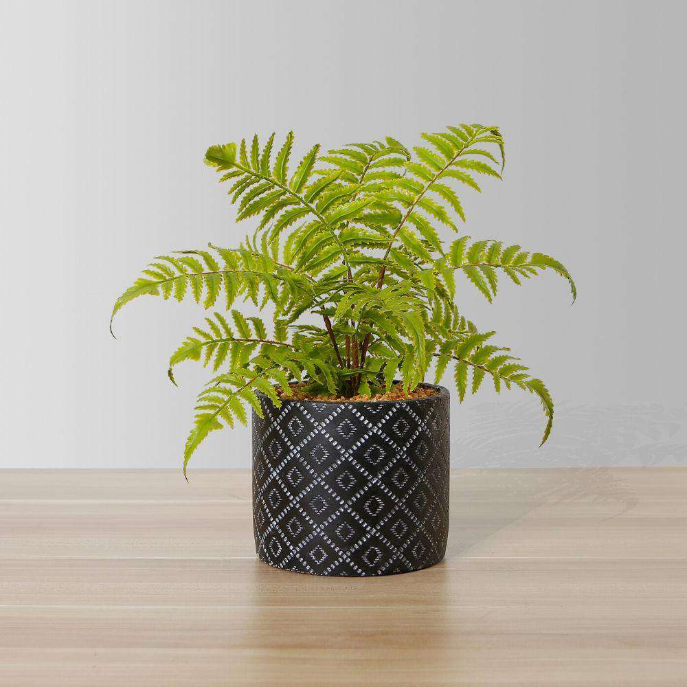 faux fern