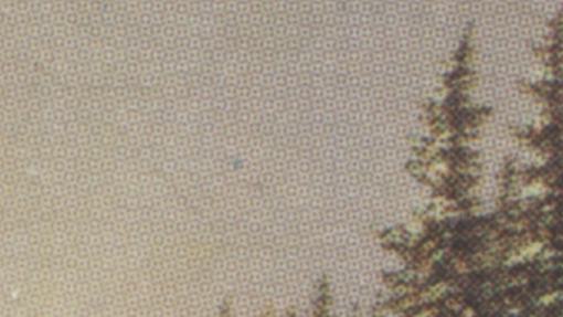 The Blue Dot Above the trees Variety on the 1972 Cornelius Krieghoff stamp of Canada
