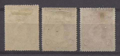 Vertical opaque, soft wove paper from the 1894 Waterlow Issue of Niger Coast Protectorate showing coarse mesh