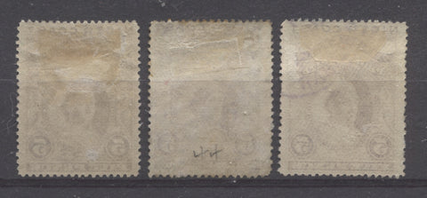 Vertical wove paper from the 1894 Waterlow Issue of Niger Coast Protectorate showing coarse mesh