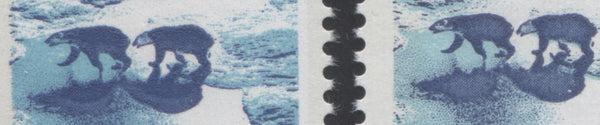 Close up of the difference between type 1 and type 2 on the 25c Polar Bears stamp from the 1972-1978 Caricature Issue of Canada