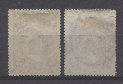 Vertical wove paper from the 1894 Waterlow Issue showing closely spaced mesh