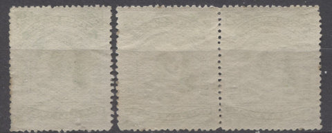 Horizontal wove paper with fine mesh and clear gum from the Second Waterlow Issue of the Niger Coast Protectorate