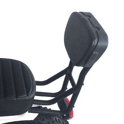 backrest for bike