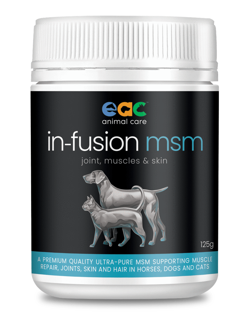 MSM Joint Supplement For Horses - Anti-oxidant And Muscle Repair – EAC  Animal Care