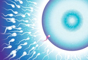 Healthy Sperm Count, Motility and Morphology