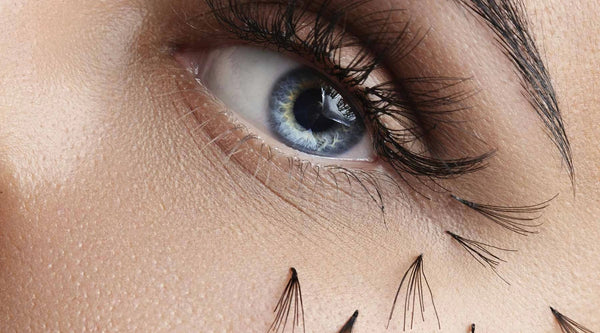 Toronto Lash Supplies