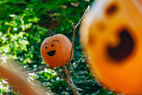 eco-friendly halloween decorations pumpkin