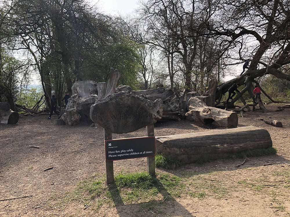 Children's play area at the Monument in Ashridge