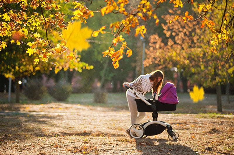 4 Reasons Why Baby Strollers Are Important – ANB Baby