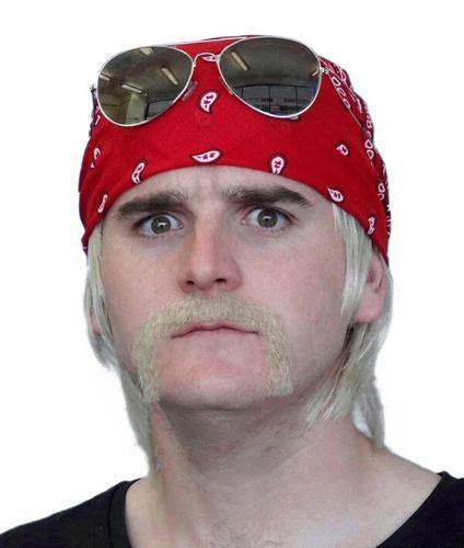 hulk hogan mustache costume