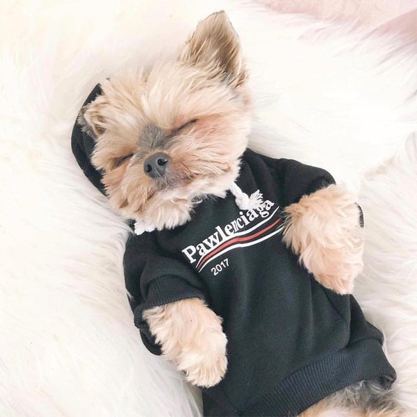 balenciaga dog hoodie