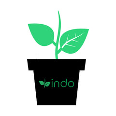 Indo Products how to grow cannabis