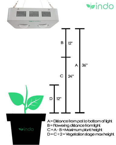 Indo Plant Growth Guidance