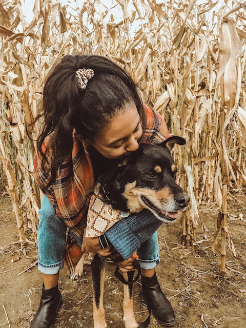 Hamilton has a Dog-Friendly Fall Farm Complete with a Pumpkin Patch, Corn Maze, and Tractor Rides!