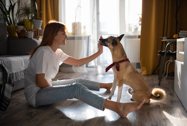 woman in white shirt and jeans training her brown dog