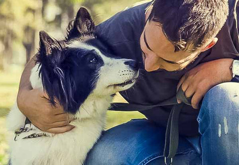 man in black shirt kissing his black and white border collie