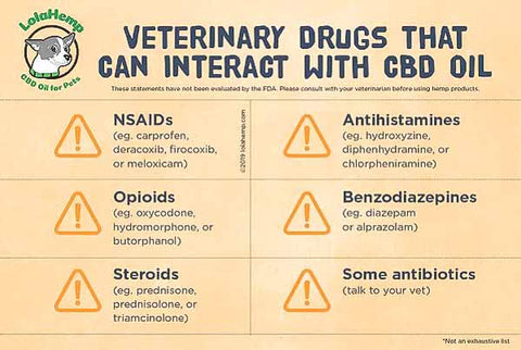 Veterinary Drugs That Can Interact With CBD Oil Infograph