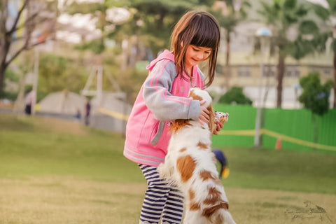 little girl in pink jacket and black and white striped pants playing with little white and brown dog