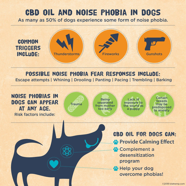 CBD Oil and Noise Phobia in Dogs Infograph