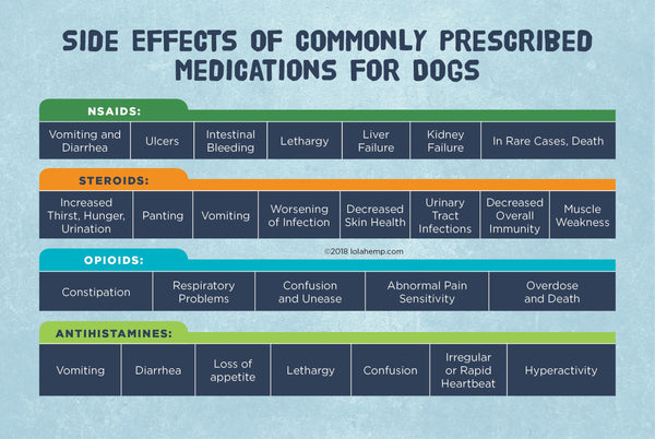 Side Effects of Commonly Prescribed Medications For Dogs Infograph