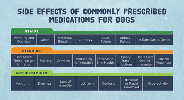 Side Effects of Commonly Prescribed Medications For Dogs Infographic