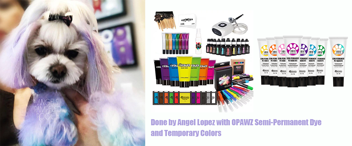Angel Lopez with OPAWZ Semi-Permanent Dye and Temporary Colors