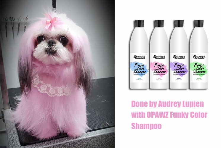 Audrey Lupien with OPAWZ Funky Color Shampoo