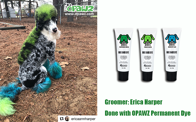 Erica Harper with OPAWZ Permanent Dye