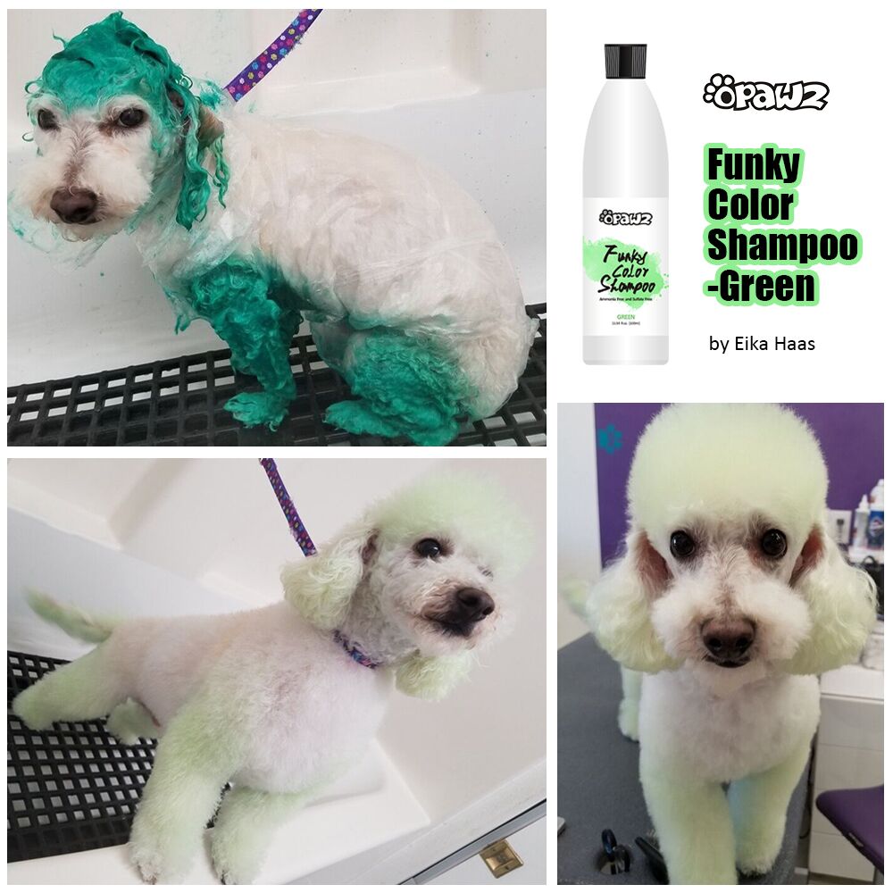 Funky Color Shampoo Green 